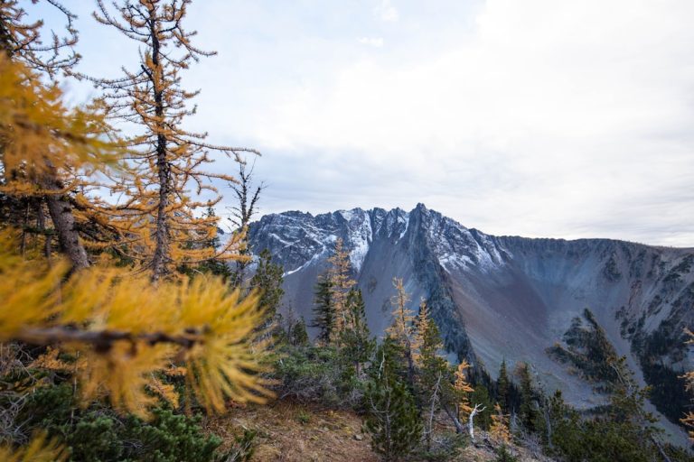 The Thrill of Budget-Friendly Adventures: Exploring the Great Outdoors Without Breaking the Bank